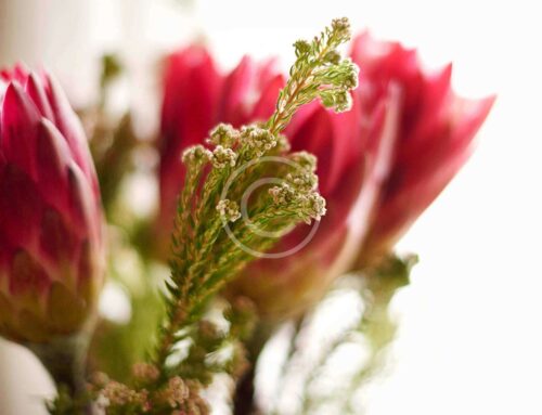 Hair Dye Changes Color Depending on Your Environment